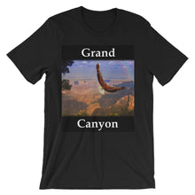 Grand Canyon t-shirt