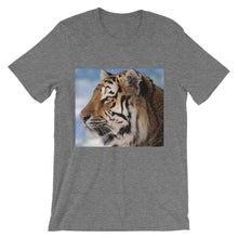 Tiger t-shirt