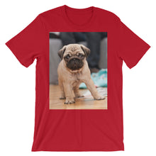Pug t-shirt