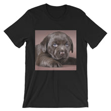 Puppy t-shirt