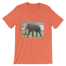 Endangered Species t-shirt
