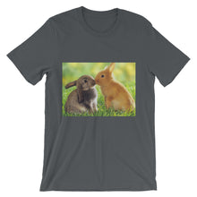 Rabbits t-shirt