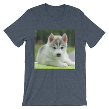 Puppy t-shirt