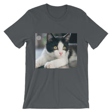 Kitten t-shirt