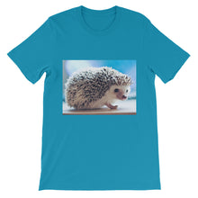 Hedgehog t-shirt