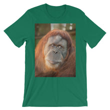 Endangered Species t-shirt