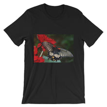 Butterfly t-shirt