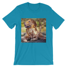Dog t-shirt