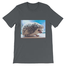 Hedgehog t-shirt