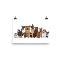 Dog Family Reunion poster