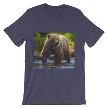 Bear t-shirt