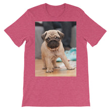 Pug t-shirt