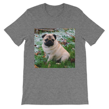 Pug t-shirt