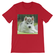 Puppy t-shirt