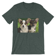 Corgis t-shirt