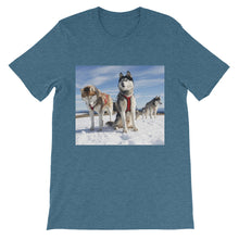 Huskies t-shirt