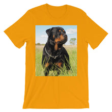 Rottweiler t-shirt