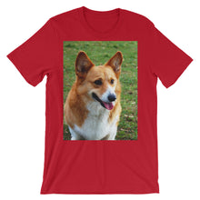 Corgi t-shirt