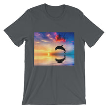 Dolphin t-shirt