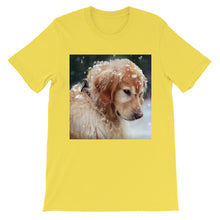 Dog t-shirt