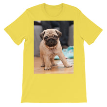 Pug t-shirt