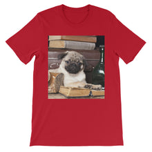 Pug t-shirt