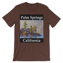 Palm Springs t-shirt