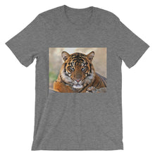 Tiger t-shirt