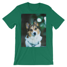 Corgi t-shirt