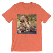 Dog t-shirt