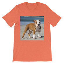 Dog t-shirt