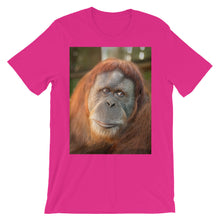 Endangered Species t-shirt