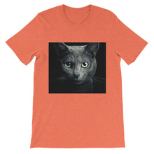 Cat t-shirt