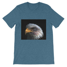 American Eagle t-shirt