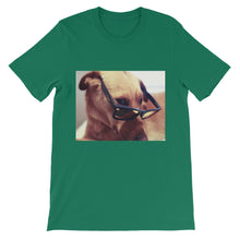 Dog with glasses t-shirt
