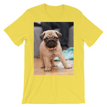 Pug t-shirt