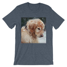 Dog t-shirt