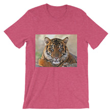 Tiger t-shirt