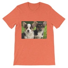 Corgis t-shirt