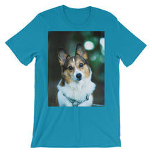 Corgi t-shirt