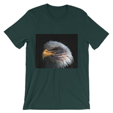 American Eagle t-shirt