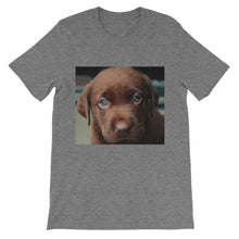 Puppy t-shirt