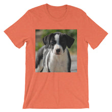 Dog t-shirt
