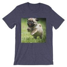 Pug t-shirt