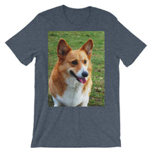 Corgi t-shirt