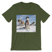 Huskies t-shirt