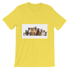 Dog Family Reunion t-shirt