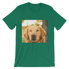 Dog t-shirt