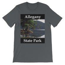Allegany State Park t-shirt