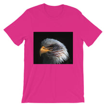 American Eagle t-shirt